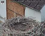 Capi_Dubne_20260917_155503.jpg
