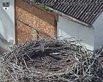 Capi_Dubne_20260917_160003.jpg