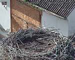 Capi_Dubne_20260917_161503.jpg