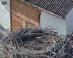 Capi_Dubne_20260917_162003.jpg