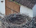 Capi_Dubne_20260917_165504.jpg