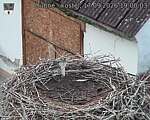 Capi_Dubne_20260917_190003.jpg