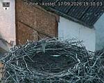Capi_Dubne_20260917_193003.jpg