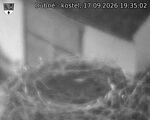 Capi_Dubne_20260917_193502.jpg