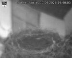 Capi_Dubne_20260917_194003.jpg