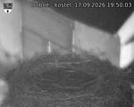 Capi_Dubne_20260917_195003.jpg