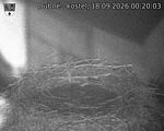 Capi_Dubne_20260918_002003.jpg