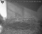 Capi_Dubne_20260918_002502.jpg