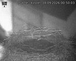Capi_Dubne_20260918_005003.jpg
