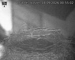 Capi_Dubne_20260918_005502.jpg