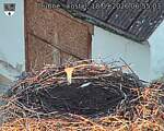 Capi_Dubne_20260918_065503.jpg