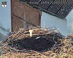 Capi_Dubne_20260918_070503.jpg