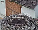Capi_Dubne_20260918_100503.jpg