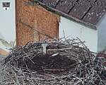 Capi_Dubne_20260918_102003.jpg