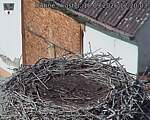 Capi_Dubne_20260918_122003.jpg