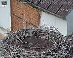Capi_Dubne_20260918_125503.jpg