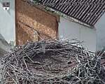 Capi_Dubne_20260918_161503.jpg