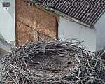 Capi_Dubne_20260918_162003.jpg
