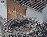 Capi_Dubne_20260918_162503.jpg