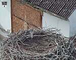 Capi_Dubne_20260918_163003.jpg