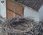 Capi_Dubne_20260918_163503.jpg