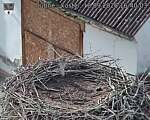 Capi_Dubne_20260918_164003.jpg