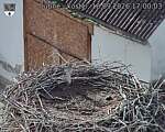 Capi_Dubne_20260918_170003.jpg