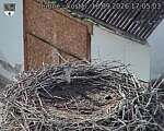 Capi_Dubne_20260918_170503.jpg
