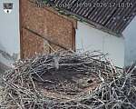 Capi_Dubne_20260918_171005.jpg