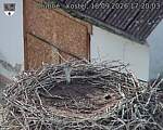 Capi_Dubne_20260918_172003.jpg