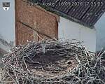 Capi_Dubne_20260918_172503.jpg