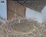 Capi_Dubne_20260918_183503.jpg
