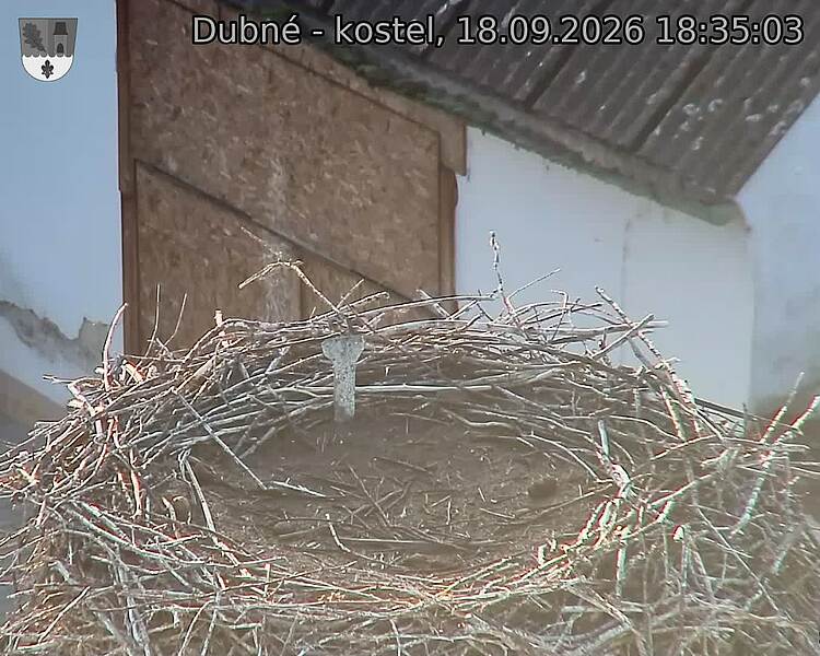 preload