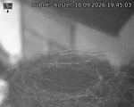 Capi_Dubne_20260918_194503.jpg