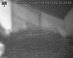 Capi_Dubne_20260918_202002.jpg