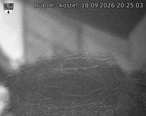 preload