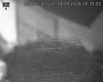 Capi_Dubne_20260918_203503.jpg