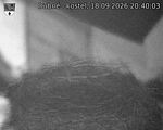 Capi_Dubne_20260918_204003.jpg