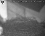 Capi_Dubne_20260918_205503.jpg