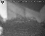 Capi_Dubne_20260918_211503.jpg