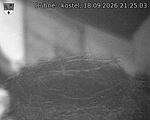 Capi_Dubne_20260918_212503.jpg
