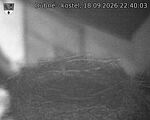 Capi_Dubne_20260918_224003.jpg
