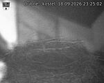 Capi_Dubne_20260918_232502.jpg