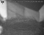 Capi_Dubne_20260919_004503.jpg