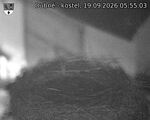 Capi_Dubne_20260919_055503.jpg