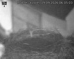 Capi_Dubne_20260919_060503.jpg