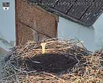 Capi_Dubne_20260919_072002.jpg