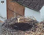 Capi_Dubne_20260919_072502.jpg