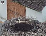 Capi_Dubne_20260919_074004.jpg