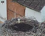 Capi_Dubne_20260919_074502.jpg